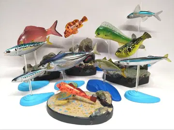 카로라타 입체 물고기 도감 물고기 미니어처 피규어