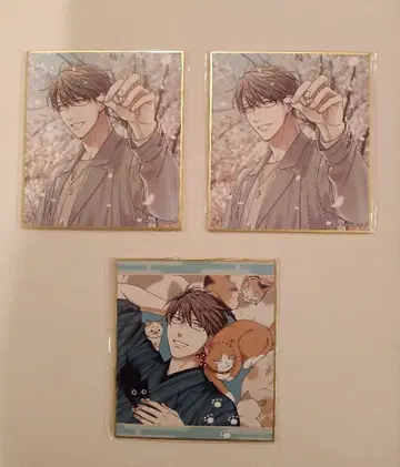 사슴풍당 사계절 이야기 최애 도전 미니 색지 세트 1 스이