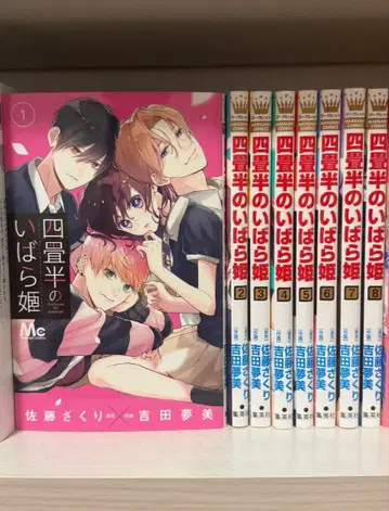 네 평의 가시공주