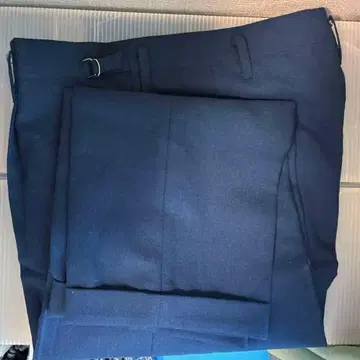 슬랙스 빈티지 로카빌리