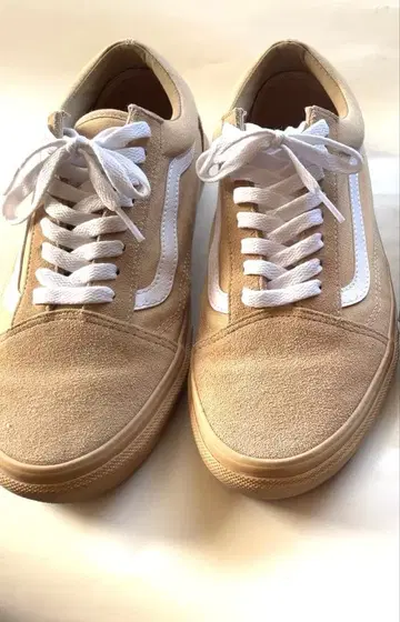 윈드앤씨 반스 스니커즈