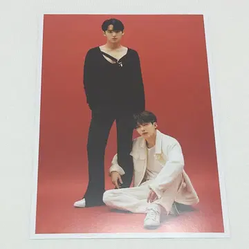 SEVENTEEN anan 특전 정한 민규 포토 카드