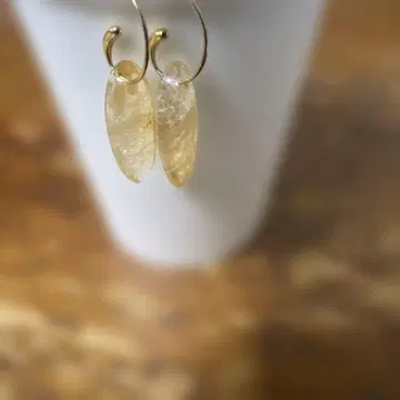 요건 레일 귀걸이