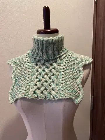 클라우디아의 넥워머