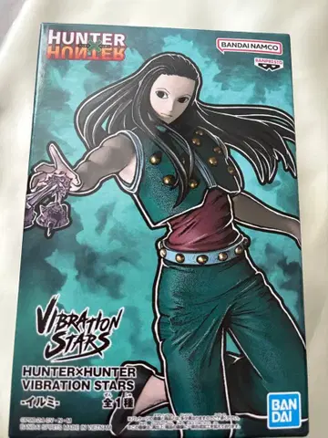 HUNTER x HUNTER 이르미 피규어