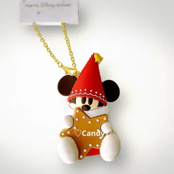 [ 당일 발송 ] TDR 디즈니 크리스마스 리루린린 백참 미사용