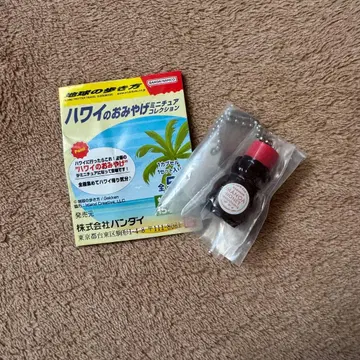 하와이 기념품 미니어처 컬렉션 베어 허니