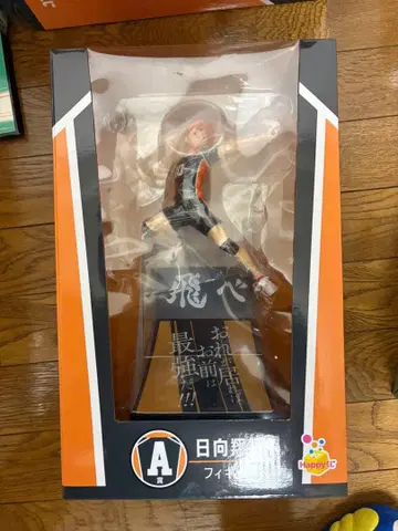 히나타 쇼요 액션 피규어 미개봉