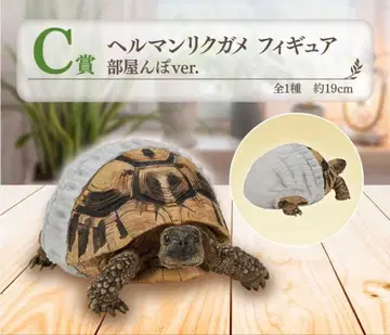 제일복권 파충류&양서류 C상 헤르만 육지거북 피규어