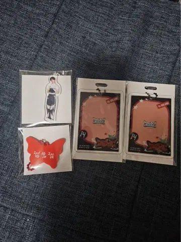 NCT DREAM 드림 랜덤 토이 지성