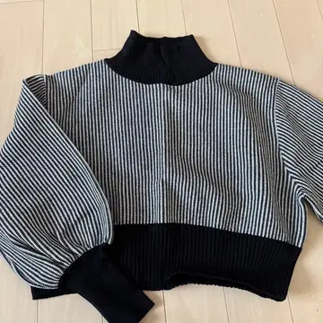 JEANASIS 스트라이프 하이넥 니트 F 사이즈 숏 기장