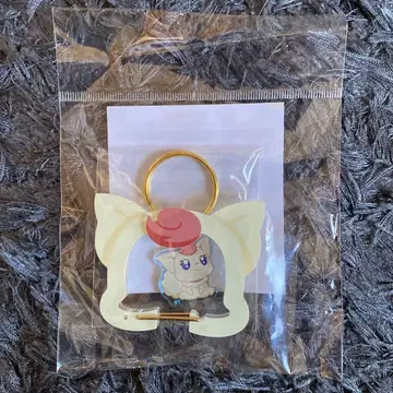 프리큐어 5 코코 아크릴 카라비너