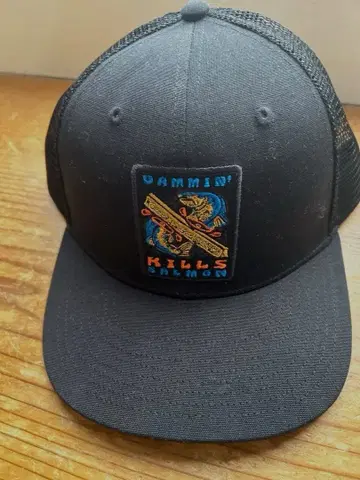 [미사용 새상품] 파타고니아 patagonia 야구 모자 메쉬