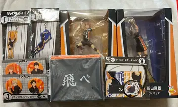 하이큐 카라스노 세트