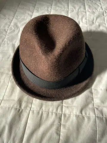 브라운 울 펠트 햇