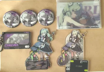 카린 윅스 묶음 판매