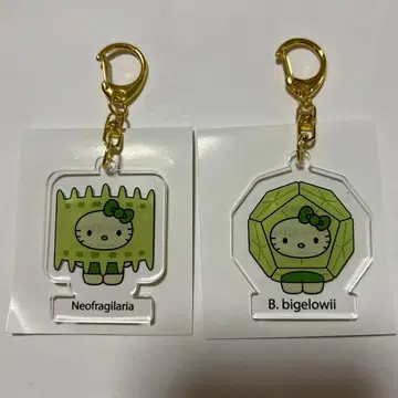 오사카 만박 일본관 모 키티 아크릴 키링 2개