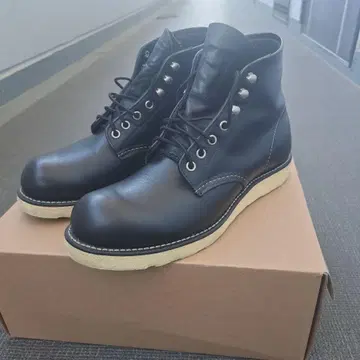 레드윙 플레인토 D8165 26cm