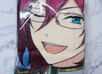 앙스타 스타포니 빅 비주얼 타월 이바라