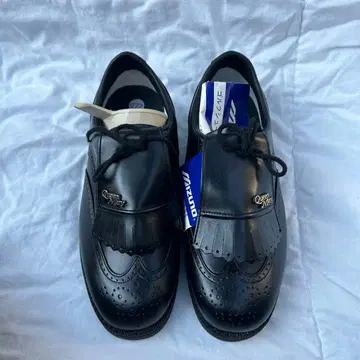 Mizuno 위너클래리 22.0