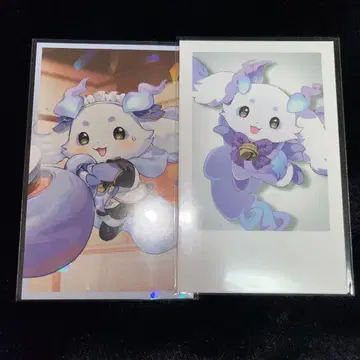 니지산지 룬룬 폴라로이드 세트