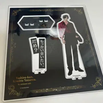 타이시로 군, 너란 녀석. 아크릴 스탠드 사나미 메이