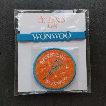 SEVENTEEN 원우 be the sun 응원봉 데코링