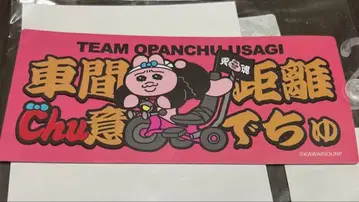 빤쮸토끼 카 마그넷 자동차 거리 돈키호테