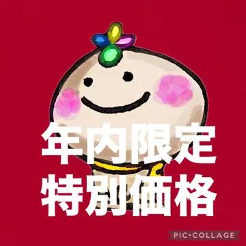 연내 한정 특별 가격