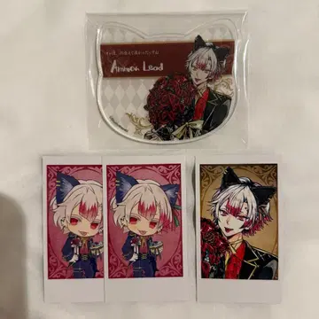 악마 고양이 난자 아크릴 코스터 인스턴트 사진풍 카드 아몬