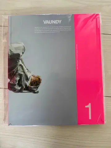 VAUNDY 1 사진집