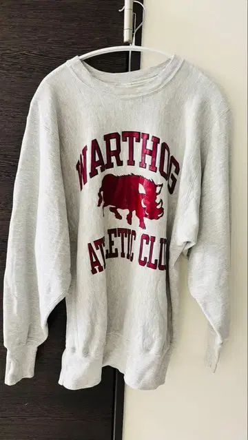 챔피온 리버스 위브