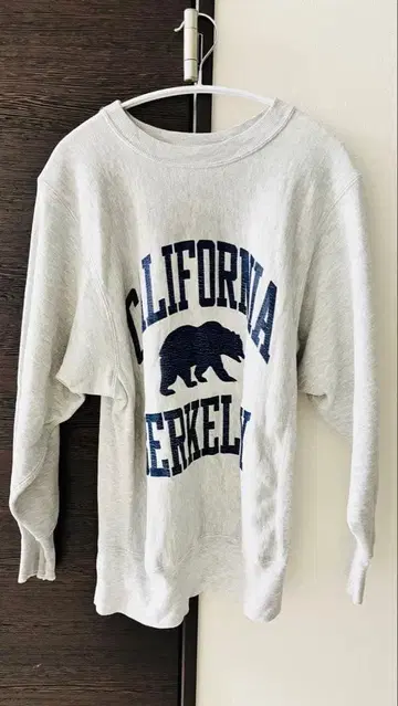 챔피온 리버스 위브