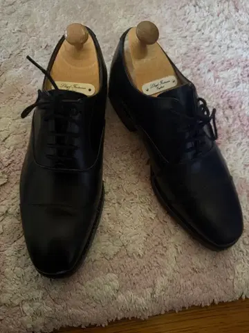 로이드 풋웨어 V 시리즈 5.5 스트레이트 팁