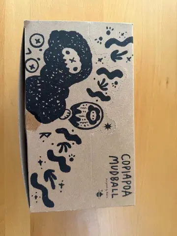 라본제소 Copiapoa Mudball 블라인드 박스 6개 세트