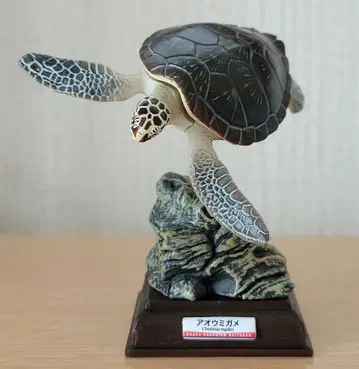 해유관 뮤지엄 피규어 푸른바다거북