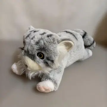 마늘 고양이 봉제 인형 TAKE OFF 테이크오프