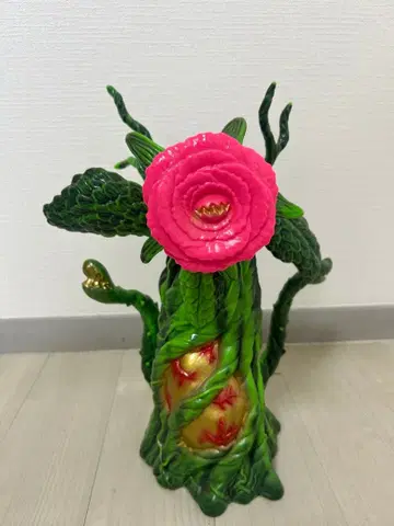 450 꽃 주우 비올란테