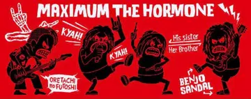 새상품 미개봉 맥시멈 더 호르몬 페이스 타월 치비쿠로 더 호르몬 타월 1