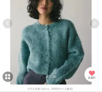 STYLEMIXER 헤어리 숏 니트 가디건