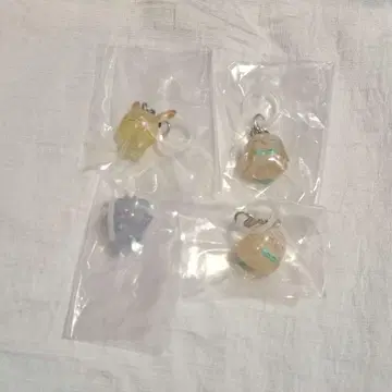 포켓몬 메지루시 액세서리