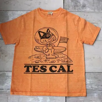 25 최신작! TES VINTAGE GRAPHIC PIG Tee