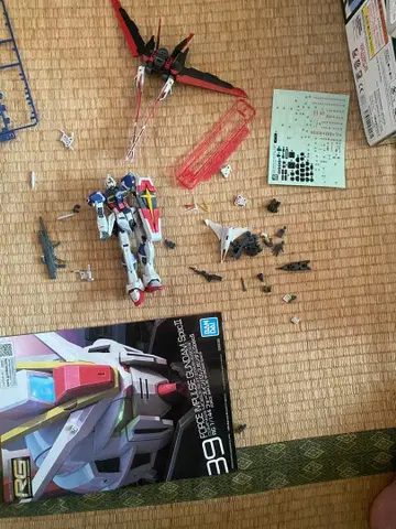 RG 포스 임펄스 건담 specii 건담 프라모델 정크