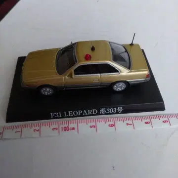 F31 레오파드 미나토 303호 경찰 사양 미니카