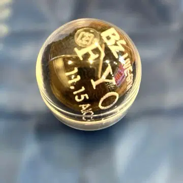 B'z LIVE-GYM 2025 -FYOP- 날짜 기입 리스트 밴드