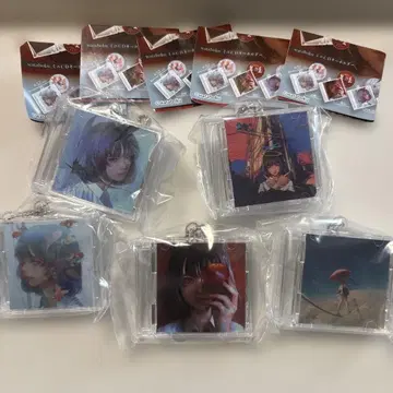 wataboku 미니 CD 키링