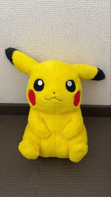 포켓몬 센터 피카츄 봉제 인형