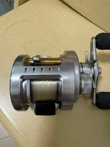 10 칼카타 퀘스트 네이비 100DC