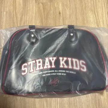 straykids 보스턴 백 현진 애용 skzoo