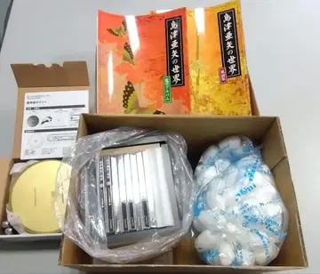 시마즈 아야의 세계 CD 세트 전 10매 CD 플레이어 포함